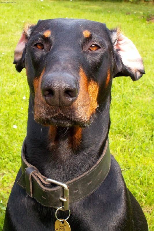 Foto: No co, v�tr�m u�i a co...?