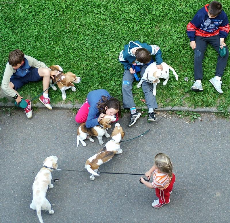 Foto: Pohled z t�et�ho patra-ven�en� b�gl�