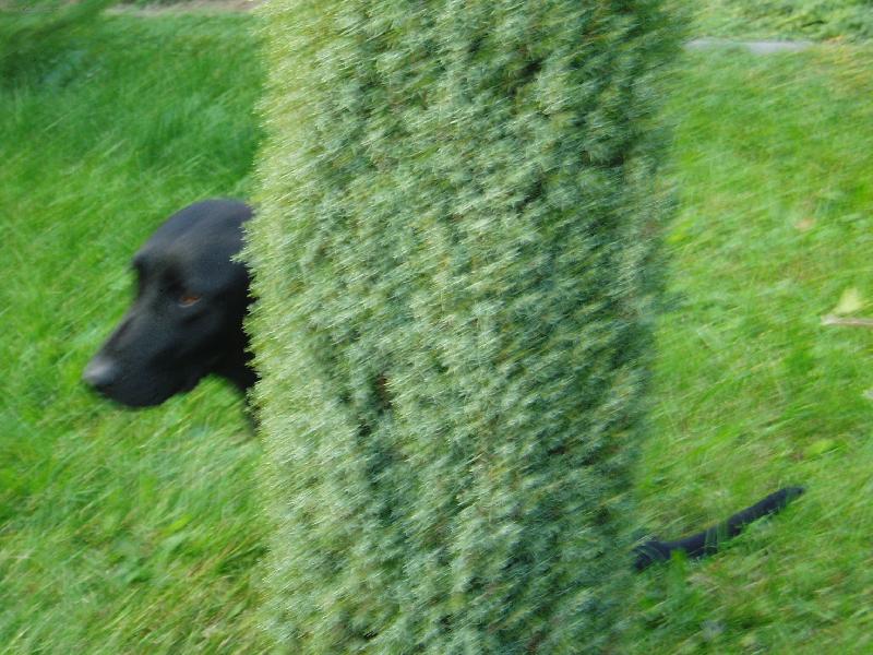 Foto: Eminka-�e m� nenajde�...