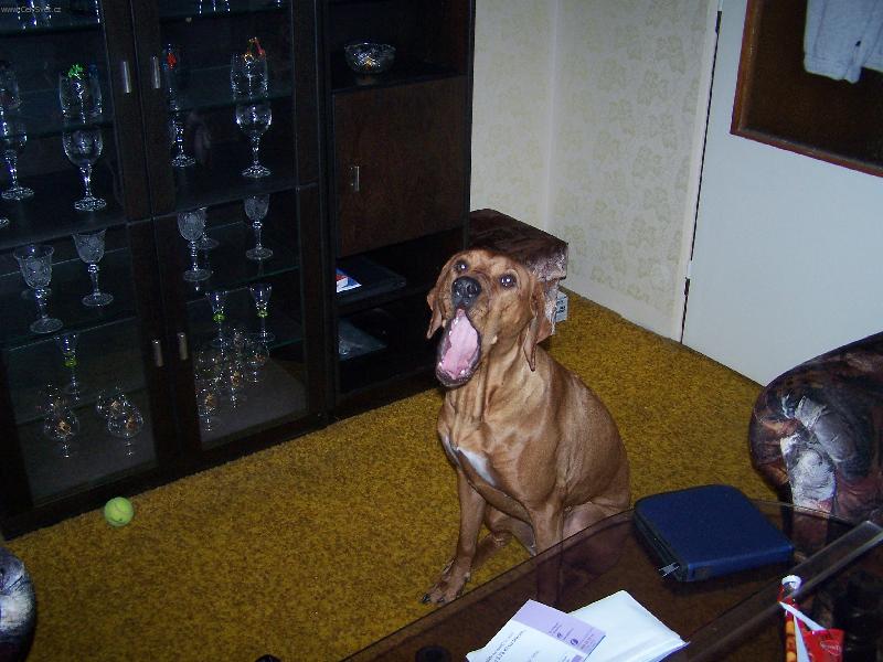 Foto: V�echny v�s sn�m!!!