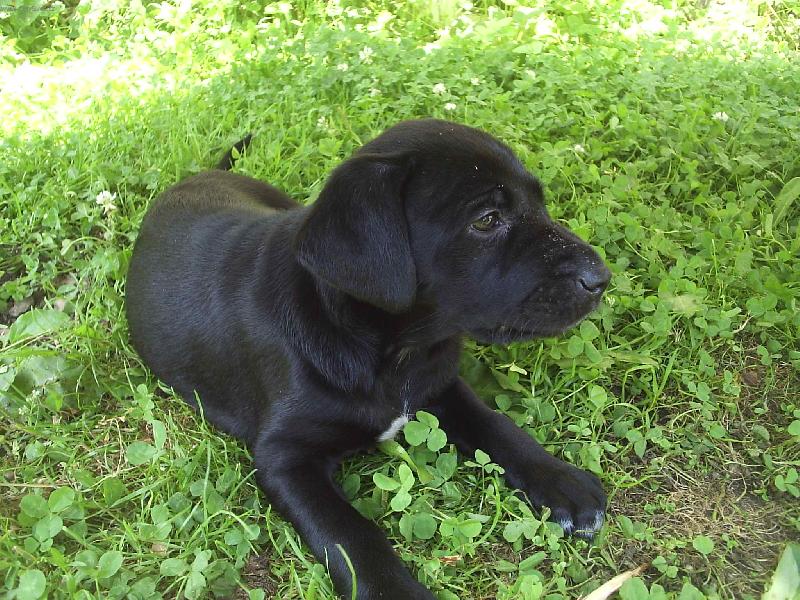 Foto: 1. den u n�s-nen� to tu tak �patn�..