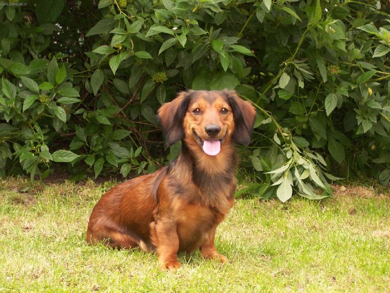 Foto: Rony-M�j mil�ek