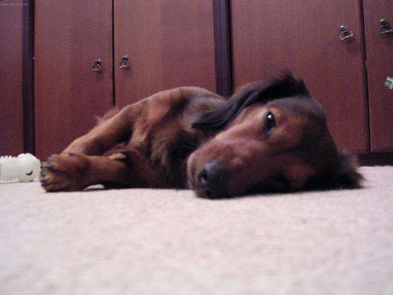 Foto: Ronda-m�j unaven� Ron��ek