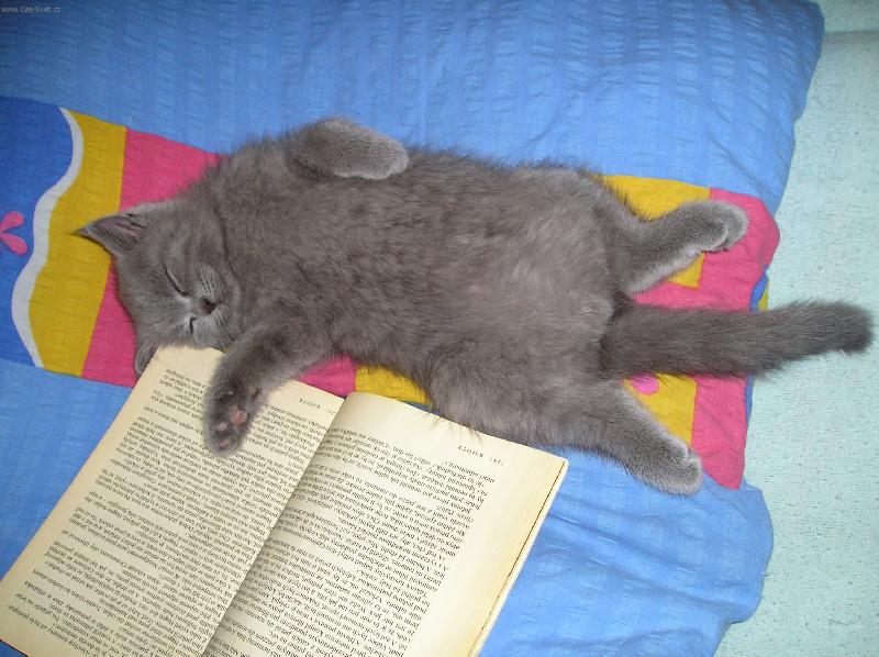 Foto: p�ed span�m....-je�t� jednu poh�dku, pros����m......