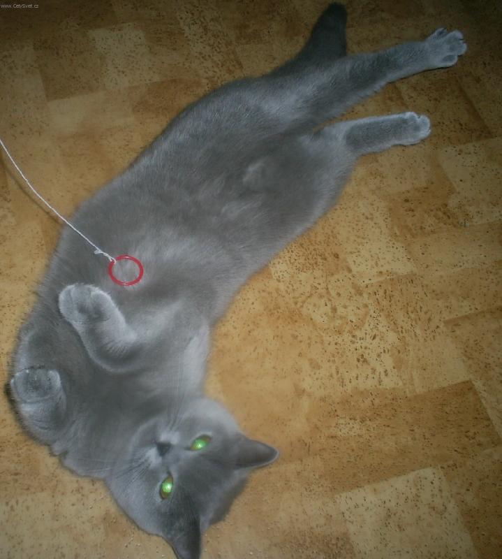 Foto: v�len�-co tak kouk�te, to se nem��u ani prot�hnout?