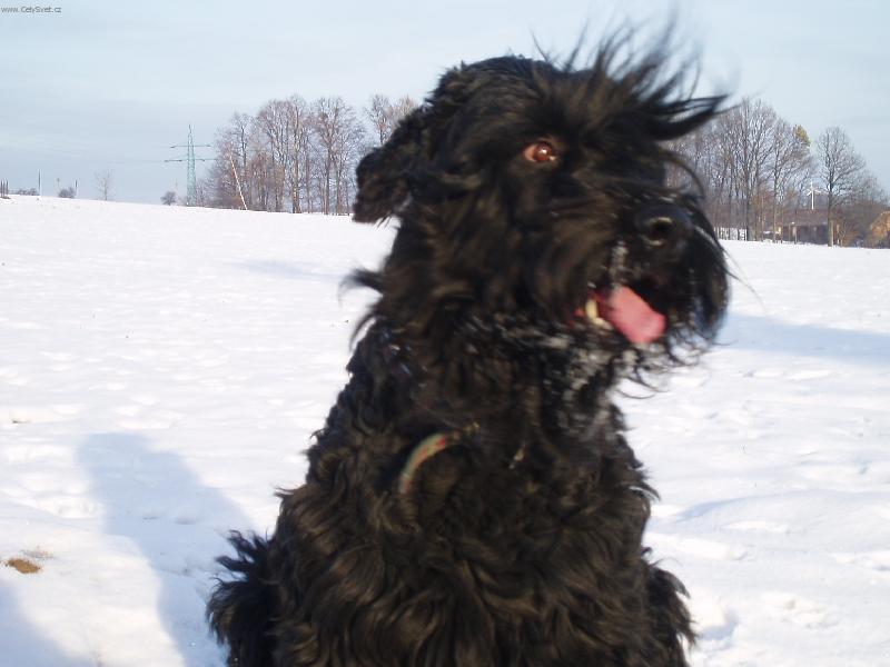 Foto: Arrnow-Po��d v pohybu