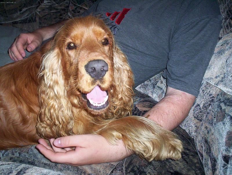 Foto: Keny-u p�ne�ka je nejl�p