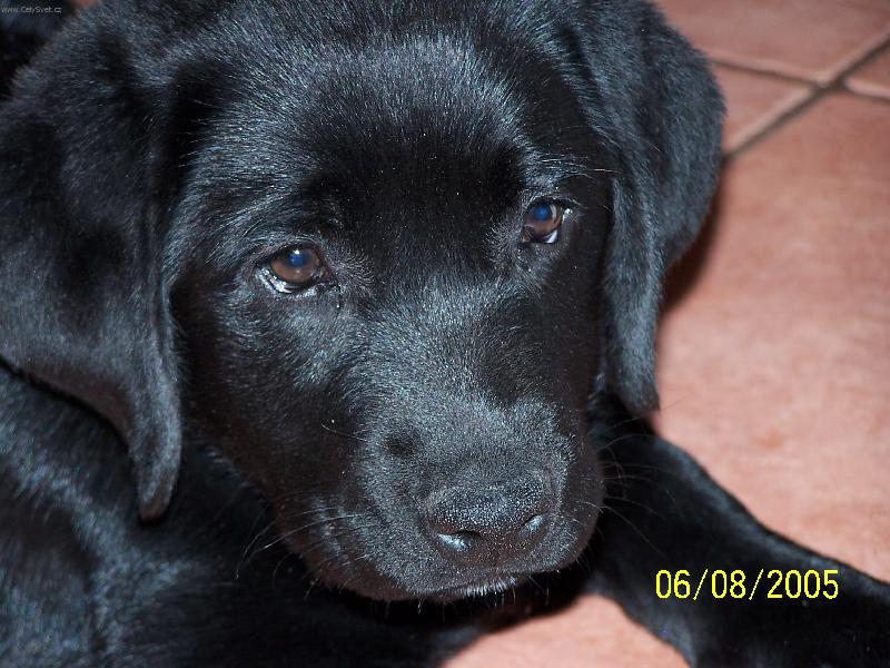 Foto: Eh... co se to d�je?