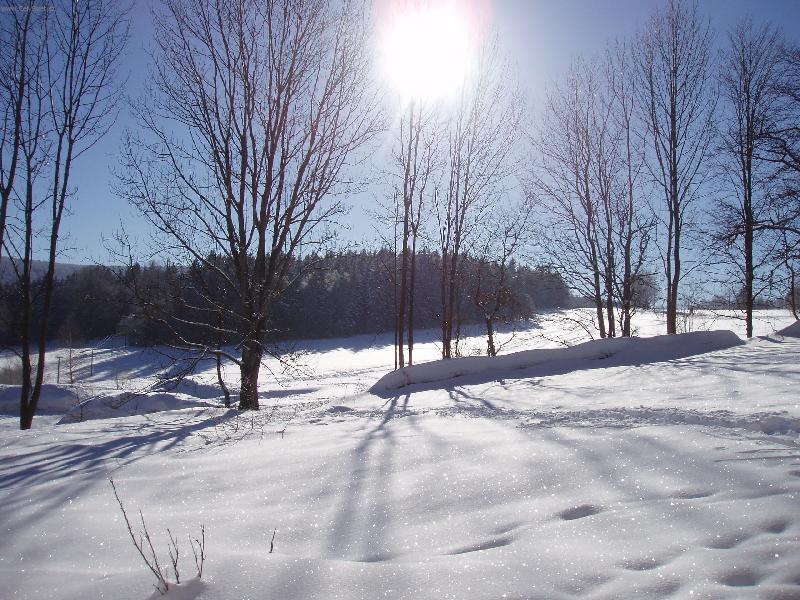 Foto: Pozdn� r�no-Hojsova Str�