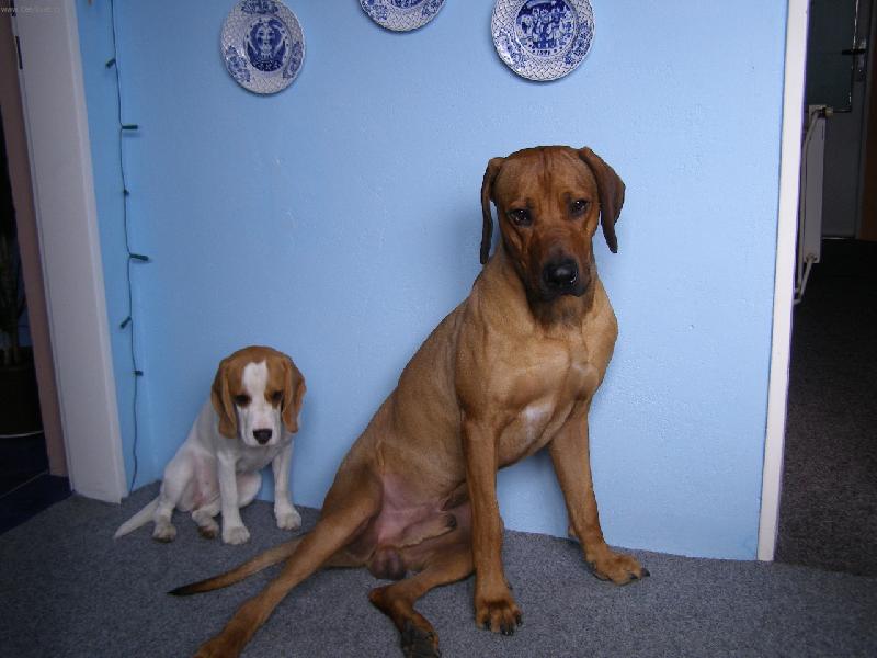 Foto: Sisinka s Nerou�em