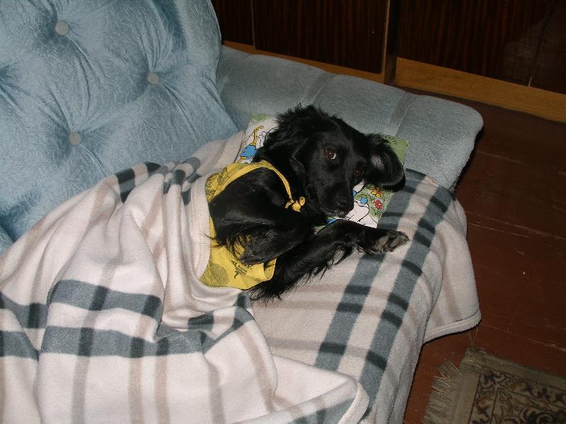 Foto: Roztomil� kuku� Ketynky