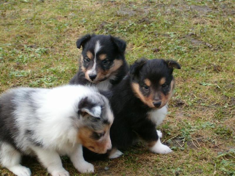 Foto: Poprv� venku