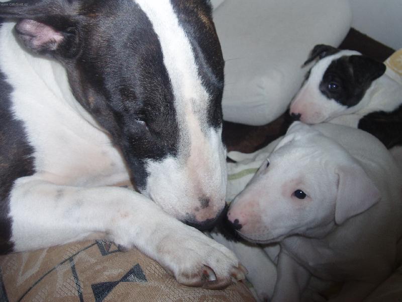 Foto: Spokojen� rodinka