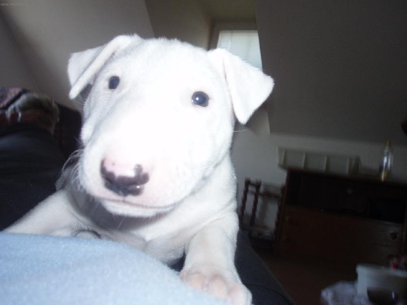 Foto: Sn�hul��ek