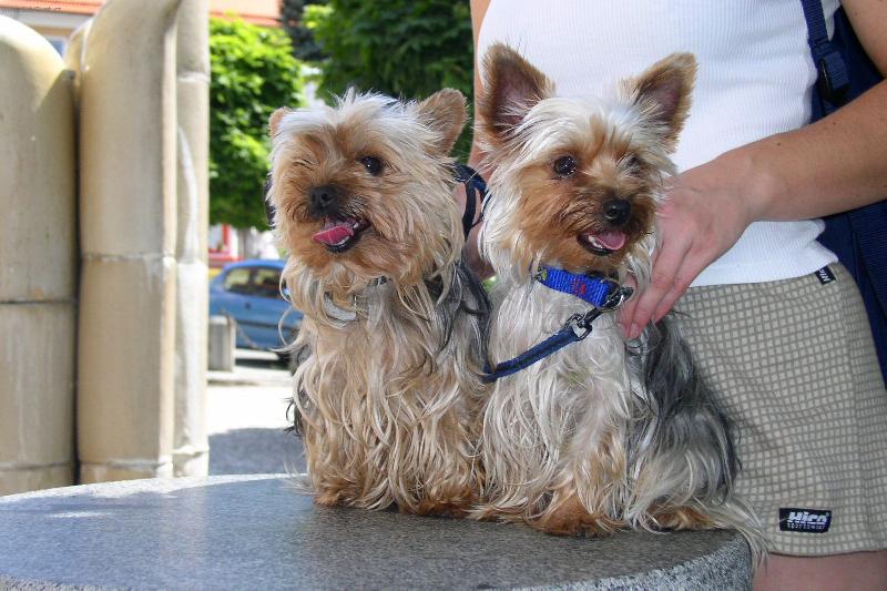 Foto: BARUNE�KY-maminka a dcera