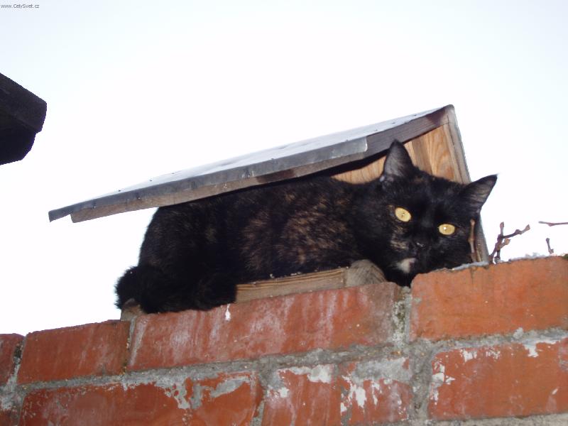 Foto: Ad�lka-Kam se schovat p�ed de��em?