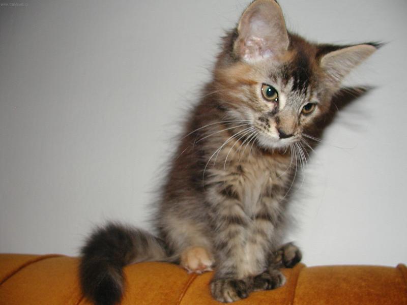 Foto: To jsem byla je�t� miminko-Casha