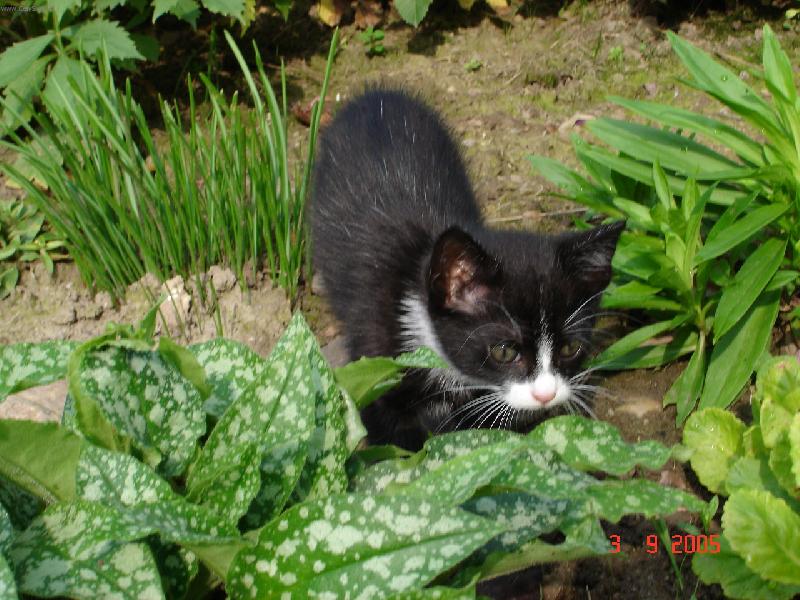 Foto: ��halka:))