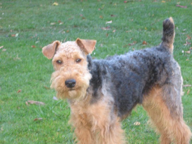 Foto: Bert�k-kam se pod�l sn�h??