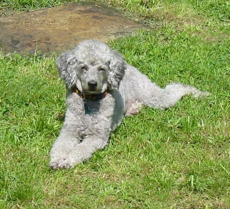 Foto: ... co takhle br�le, pros�m?...-Mat�sek se slun�.