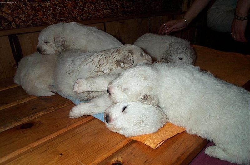 Foto: Sest�i�ky-usneme �pln� v�ude :-)