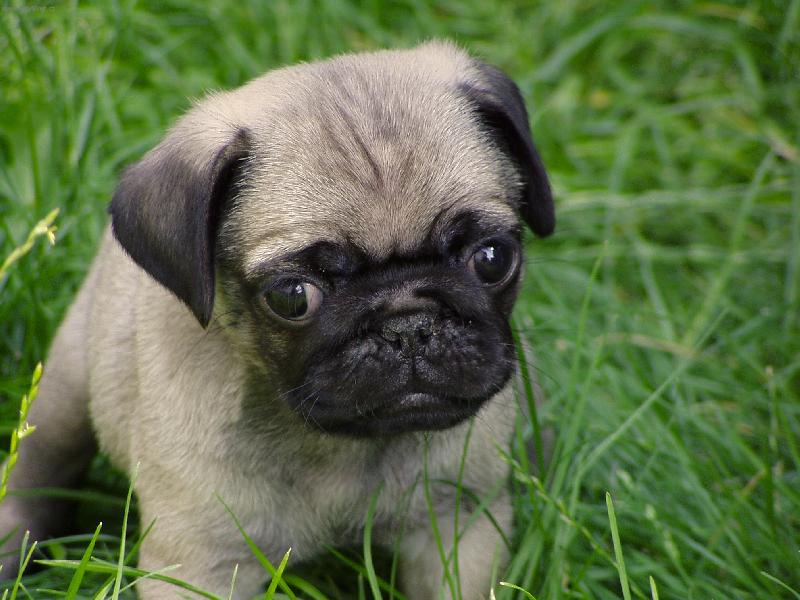 Foto: Zv��ec� Hurv�nek