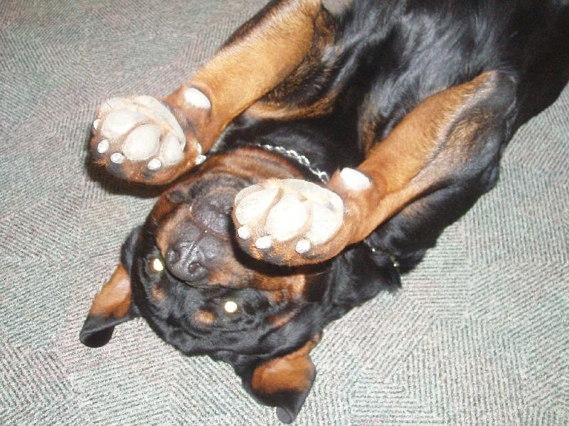 Foto: T���khle jsem velik�