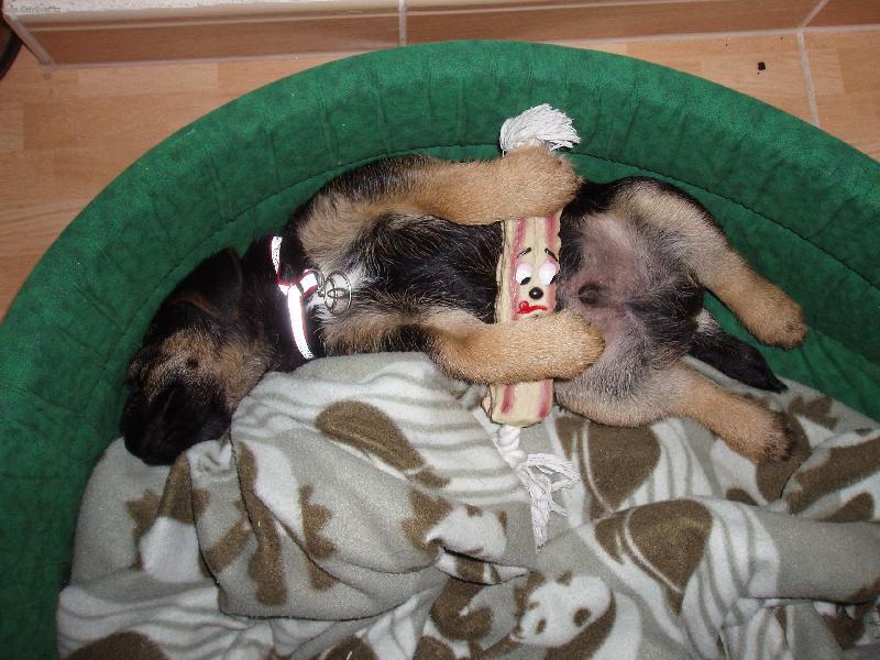 Foto: Spink�m-Black doma v pel�ku