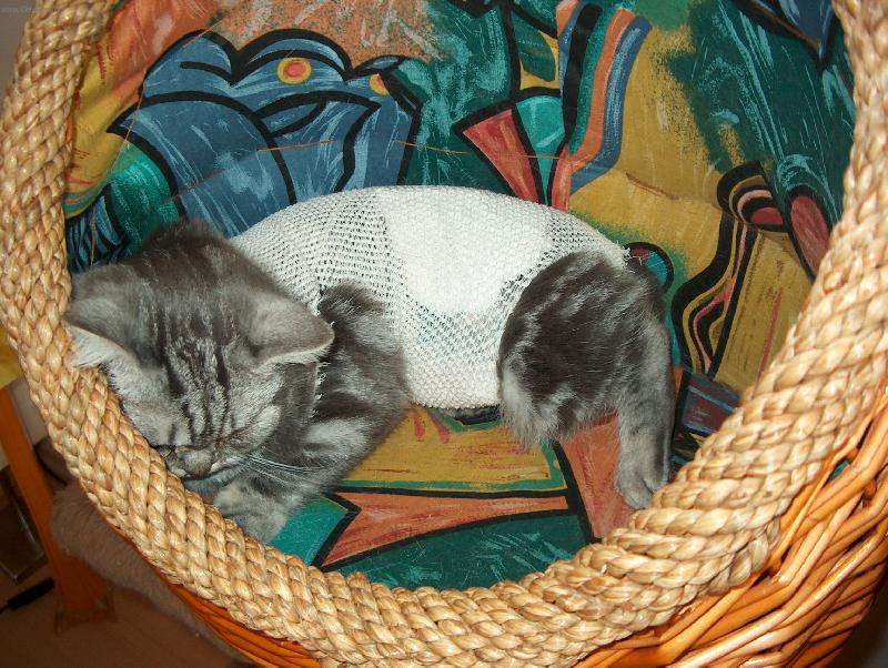 Foto: M�m beb��ko-D�da