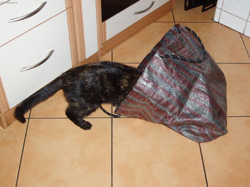 Foto: Ad�lka-Cos donesla dobr�ho z obchodu?