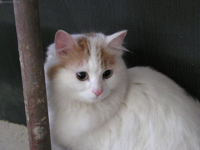 Foto: Clara Van Monelli