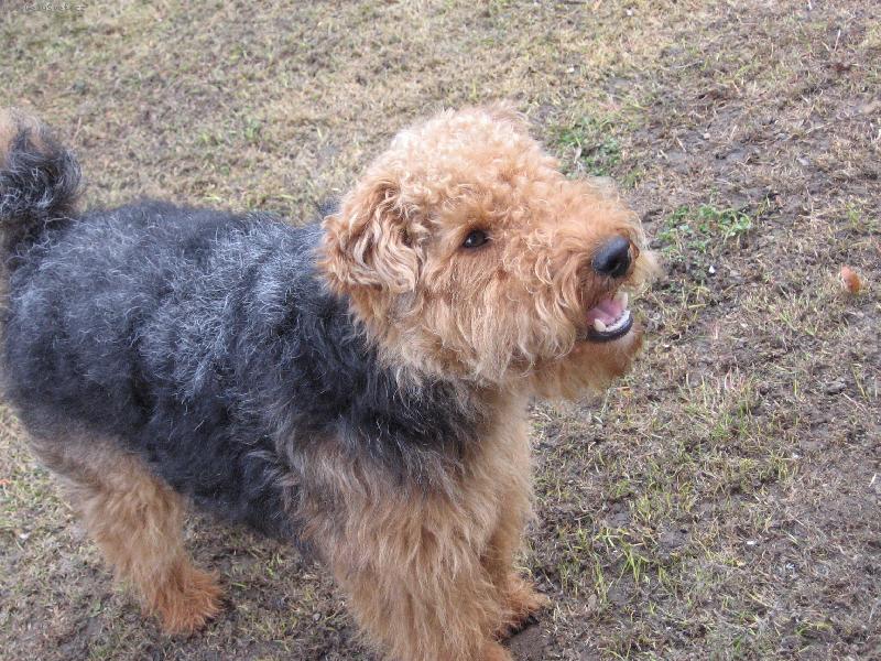 Foto: sm�ek-sv�t je p�ece kr�sn�,mus�me se na n�j sm�t!