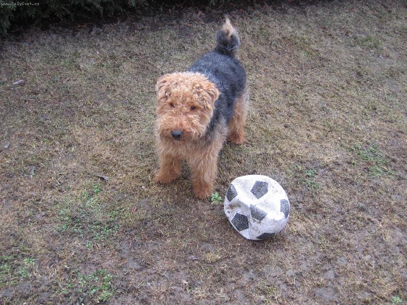 Foto: Folbalista-jsem p�ipraven porazit davida Backhama!