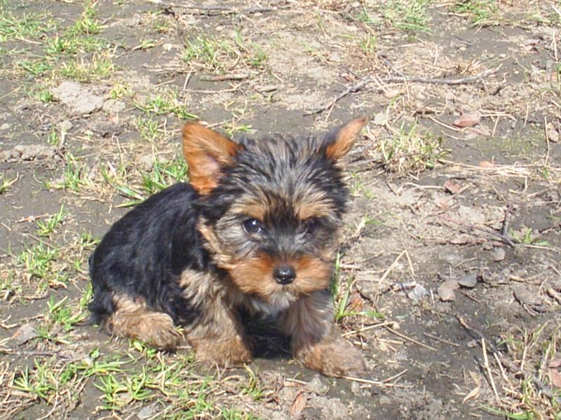 Foto: Nelinka-prvn� den venku :)