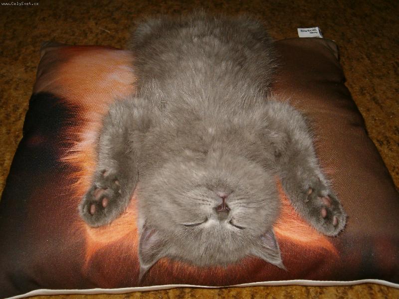 Foto: Po bitv� je ka�d� utahan�!!!-To blbnut� m� v�dy stra�n� utah�......!!!!