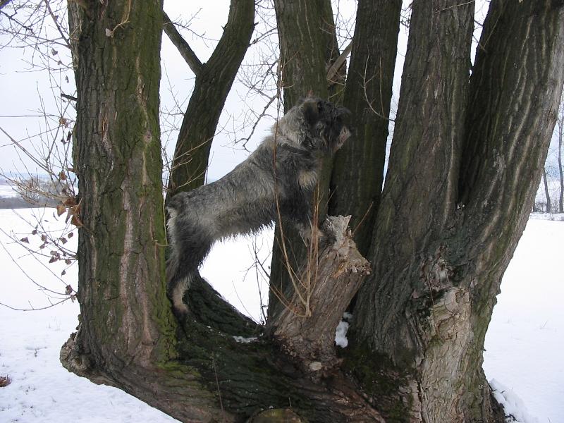 Foto: Agu�ka-hl�da�