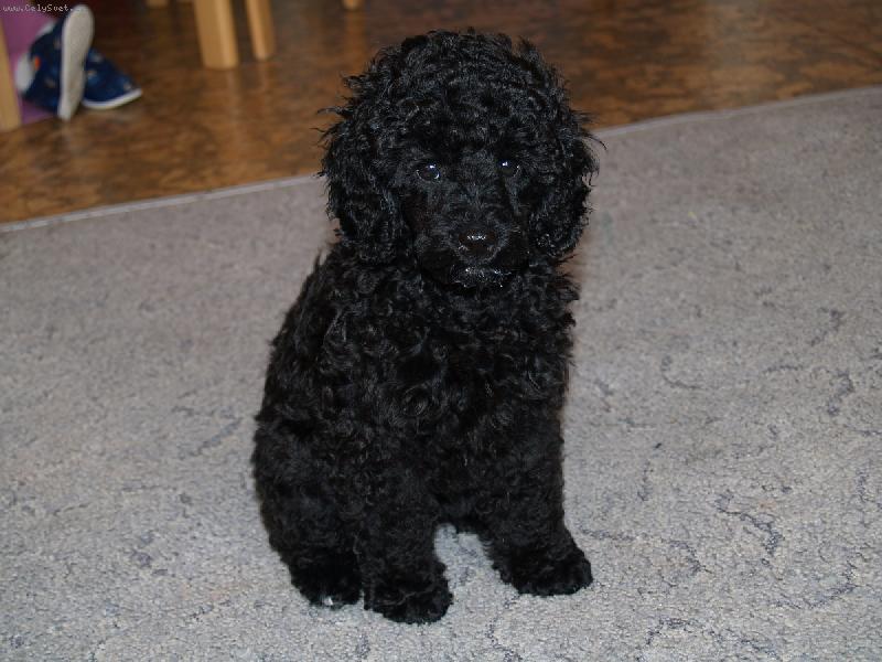 Foto: pozor vylet� pt��ek...!!!