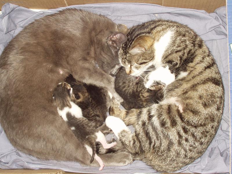 Foto: Rozmazlen� fl��ek