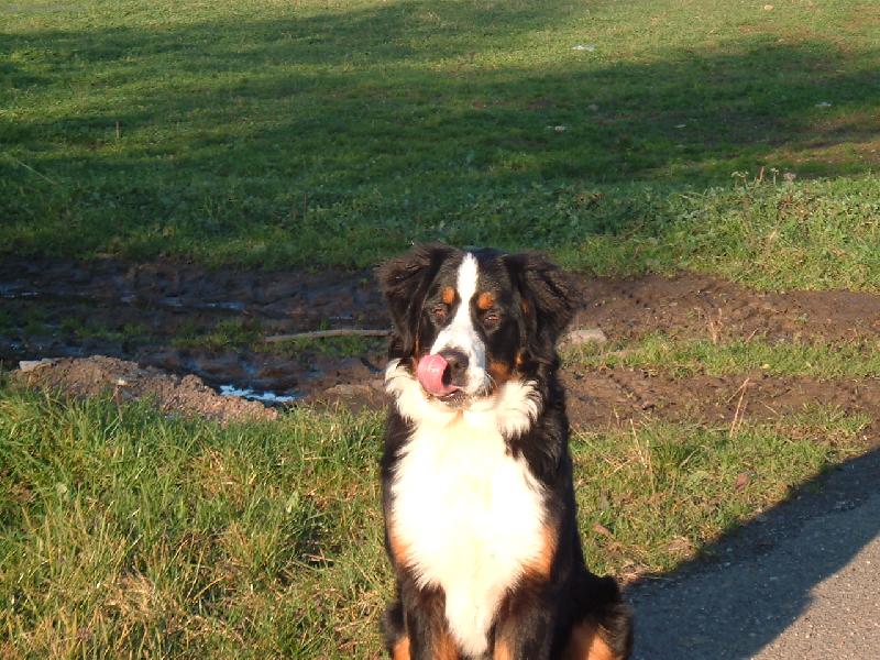 Foto: Mendy-A co ty, dos�hne� si �pi�kou jazyka na nos?