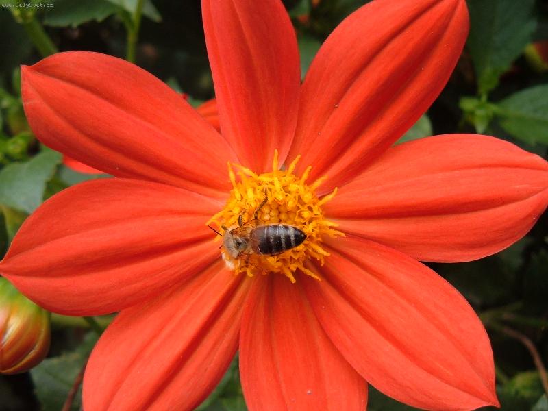 Foto: Kr�sn� p��roda