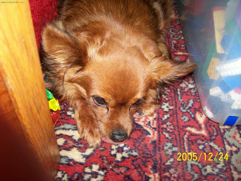 Foto: Benny-Benny odpo��v�