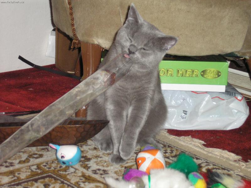 Foto: zkoum�n� r��e