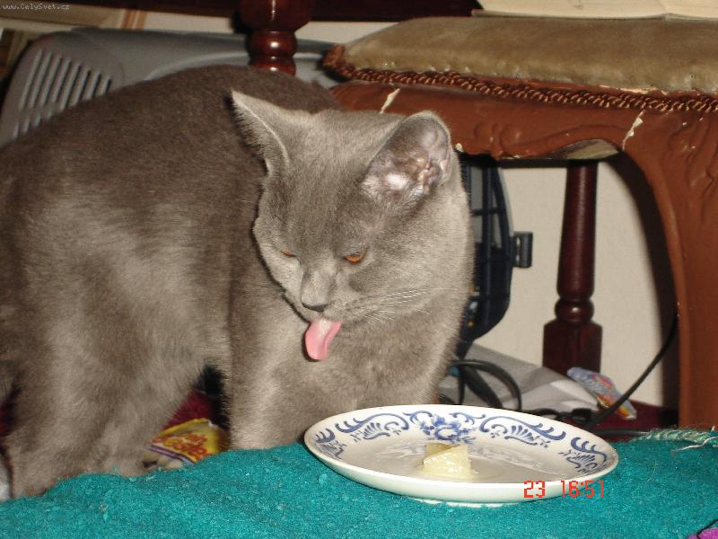 Foto: Alex-moc dobr� ananas