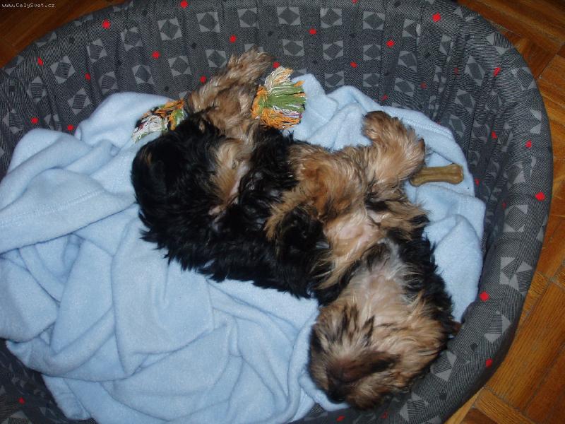 Foto: Tak se mi spink� nejl�p