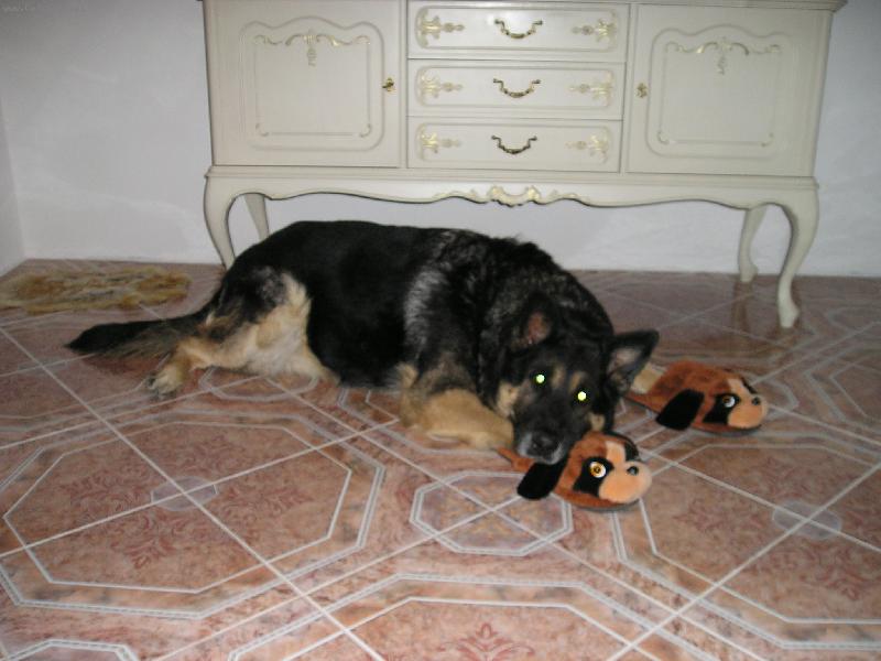 Foto: Brite�ek-Dom�c� pohoda