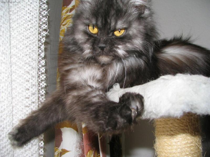 Foto: S�RA-��belsk� pohled