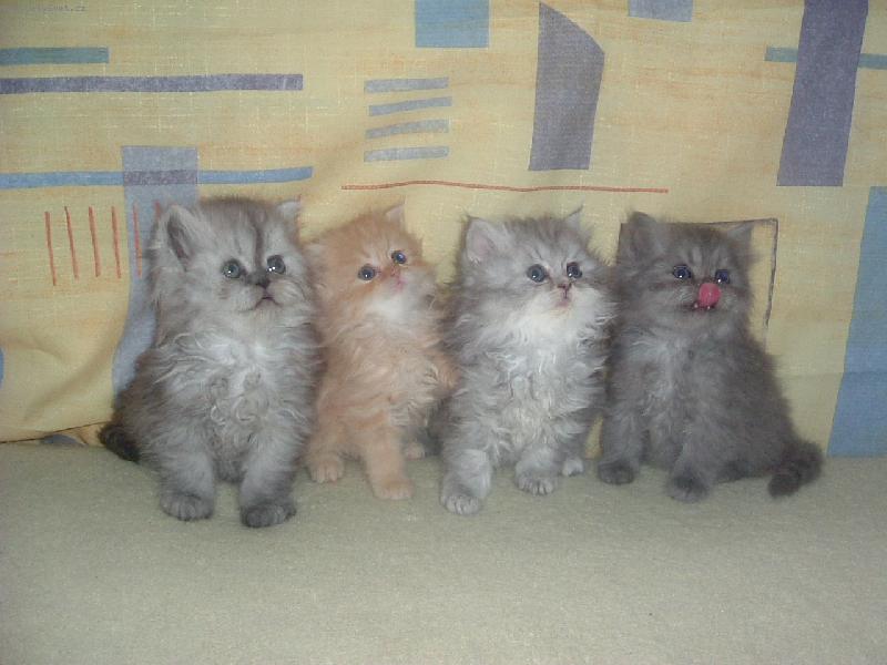 Foto: Je�t� jednou sourozenci :-)