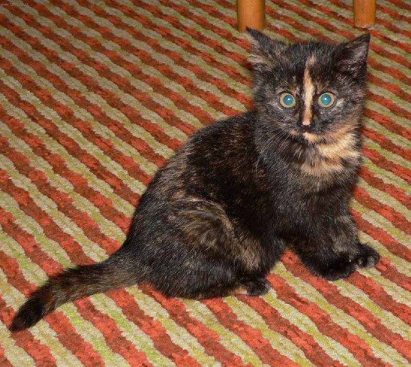 Foto: Fily-Jo,to jsem j� ...