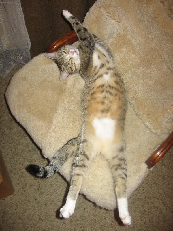 Foto: To k�eslo je mi mal�-Spokojen� Baru�ka