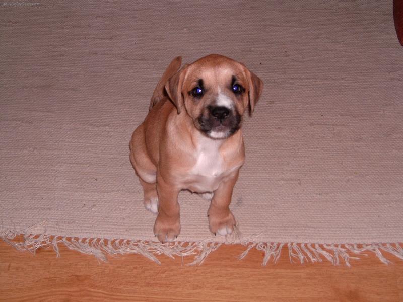 Foto: dostanu neco???